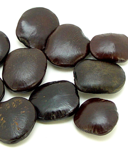 クラゴンナッツ 約10コ 4-5cm フィリピン産 ナチュラル