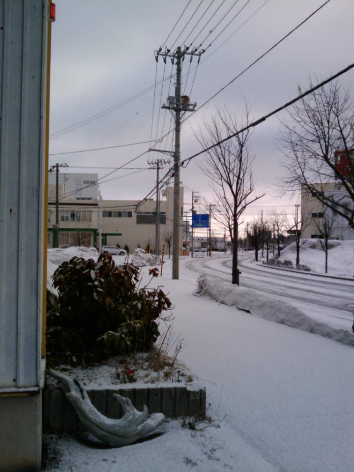 雪質は２月頃の乾雪