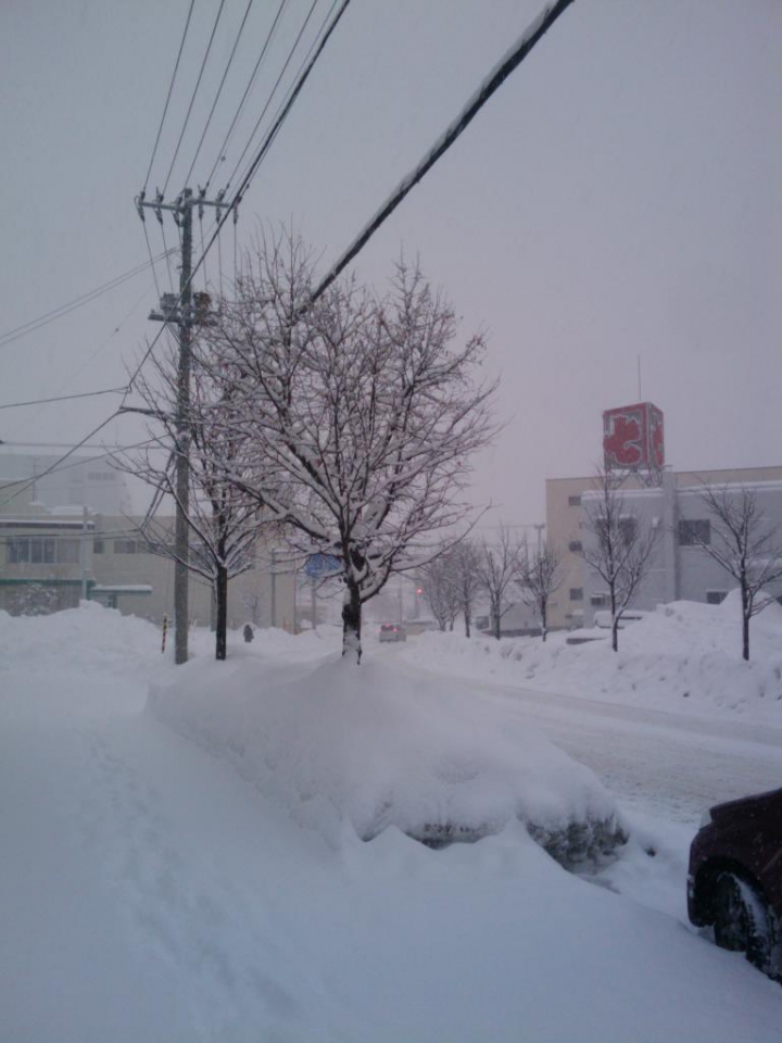 定点観測地　今朝の状況