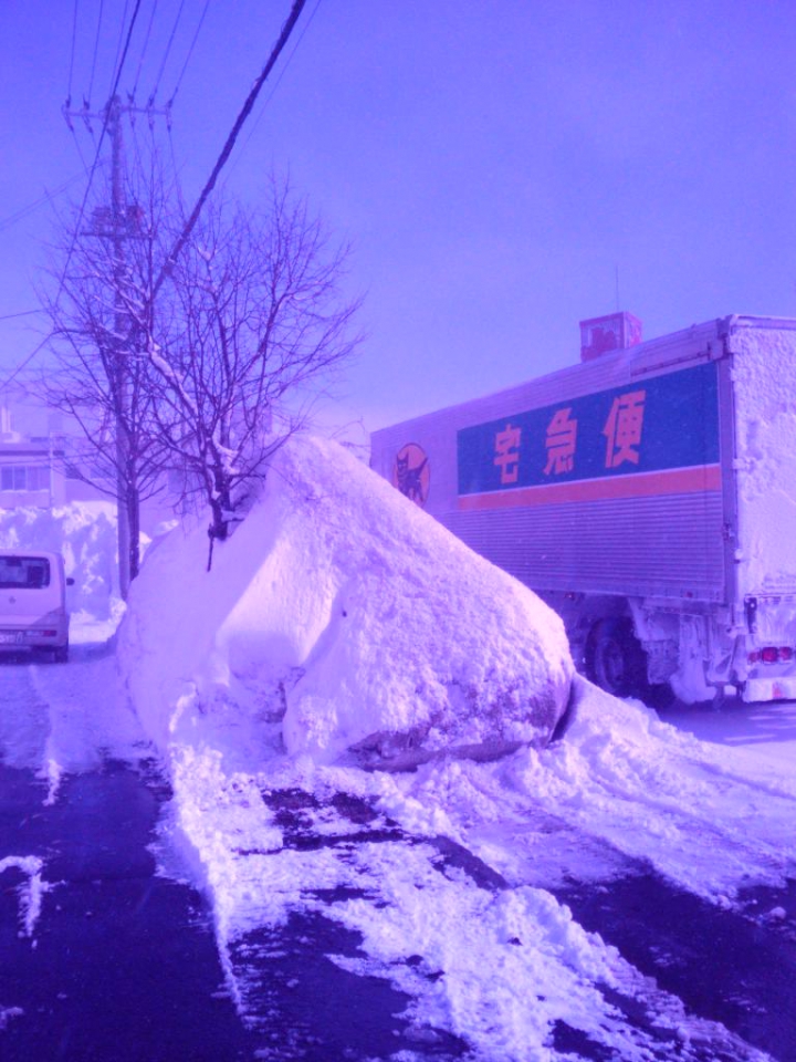 一面銀世界の札幌でーす！！